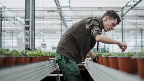 Ein Ausbilder bepflanzt kleine Blumentöpfe in der Gärtnerei.