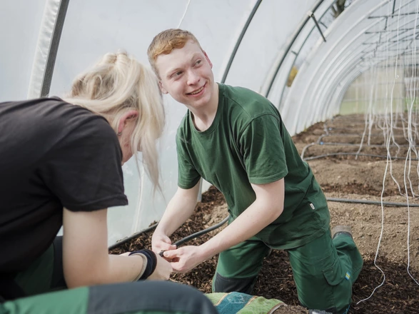Zwei Auszubildende im Gewächshaus. Sie bauen ein Bewässerungssystem zusammen.
